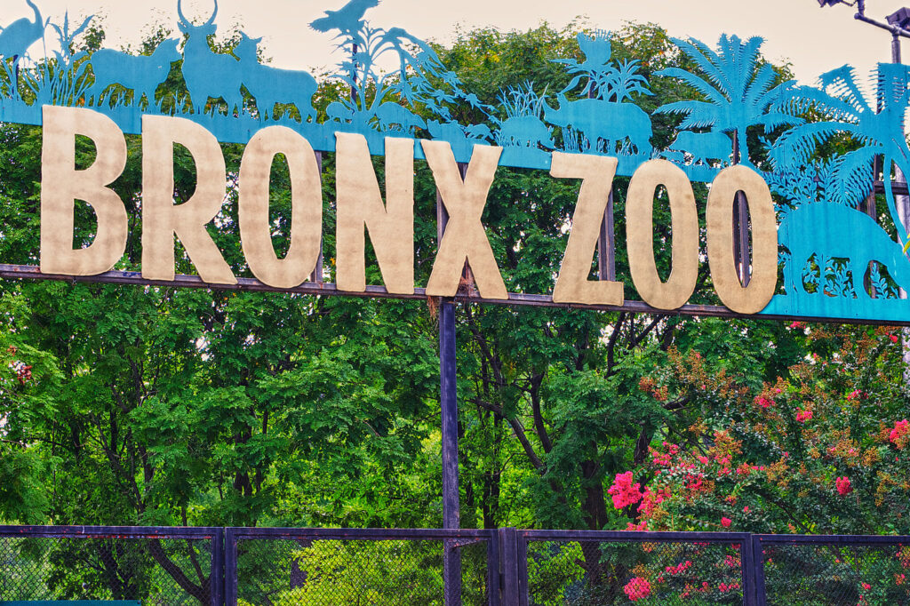 11 Extraordinary Zoos in the U.S. You Can’t Miss 10