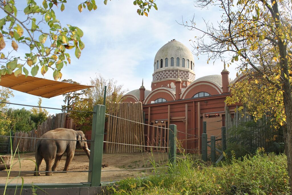 11 Extraordinary Zoos in the U.S. You Can’t Miss 11