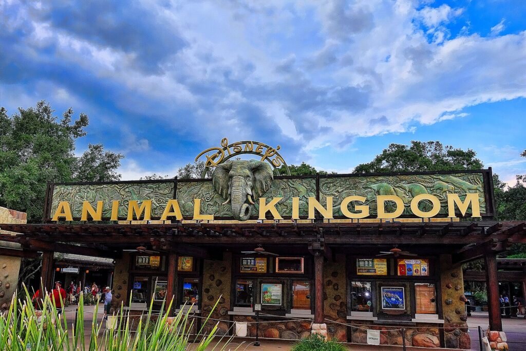 11 Extraordinary Zoos in the U.S. You Can’t Miss 3
