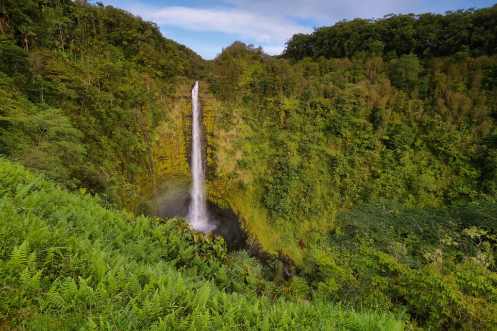12 Mesmerizing Waterfalls You Absolutely Must Visit in the U.S. 4 Akaka falls