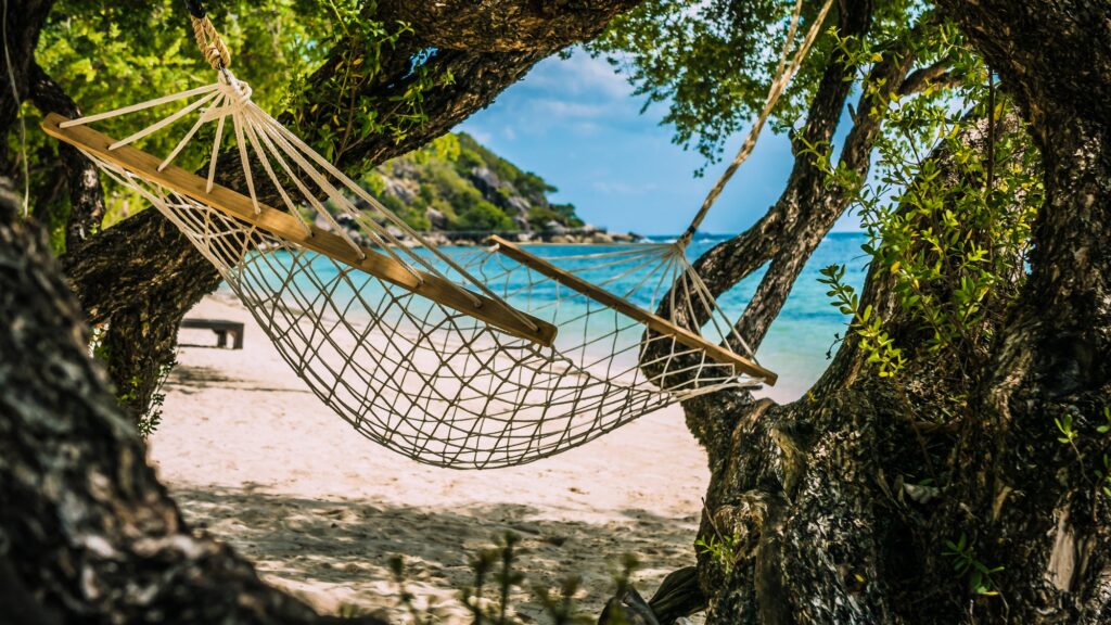 12 Enchanting Beaches in Thailand You Must Explore 8 Appealing Hammock between bizarre Trees , Haad Rin , Koh Pangang