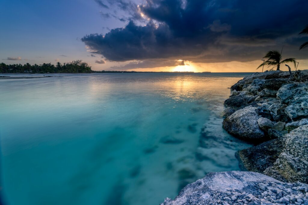 the sun is setting over the ocean with palm trees