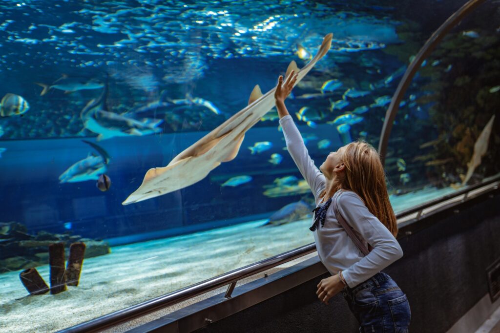 Marveling At The Marine Life