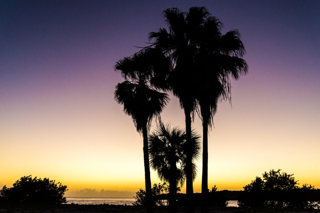 8 Cool Islands in the US You Can Actually Drive To 2 Palm trees and the Florida Keys, perfect together.