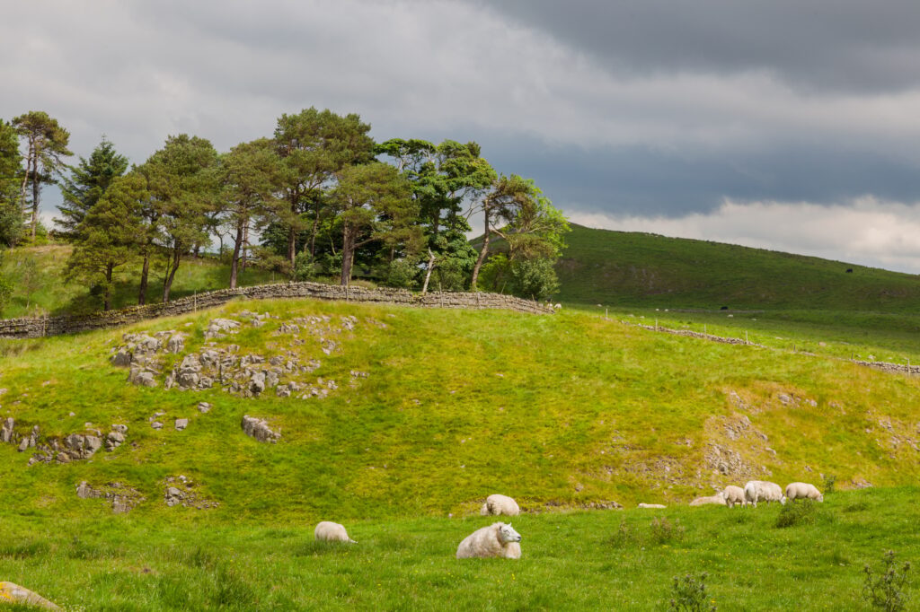 12 Ancient Roman Monuments That Will Transport You Through Time 9 Sheep Grazing Near Hadrian's Wall