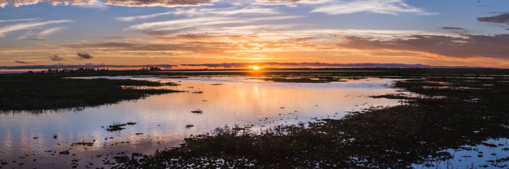 Journey Through Argentina: Discover the Top 12 Must-See Destinations for Your Next Adventure 12 Sunset at Estancia San Juan de Poriahu, Ibera Wetlands, a marshland in Corrientes Province, Argentin