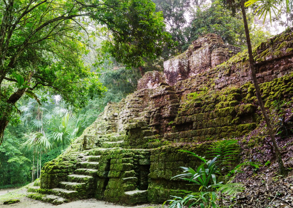 12 Enigmatic Lost Cities That Time Forgot 6 Tikal