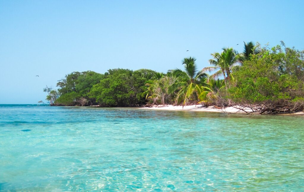 10 Extraordinary Atolls You Can’t Afford to Miss 8 Tropical Island with Palm Trees in Belize