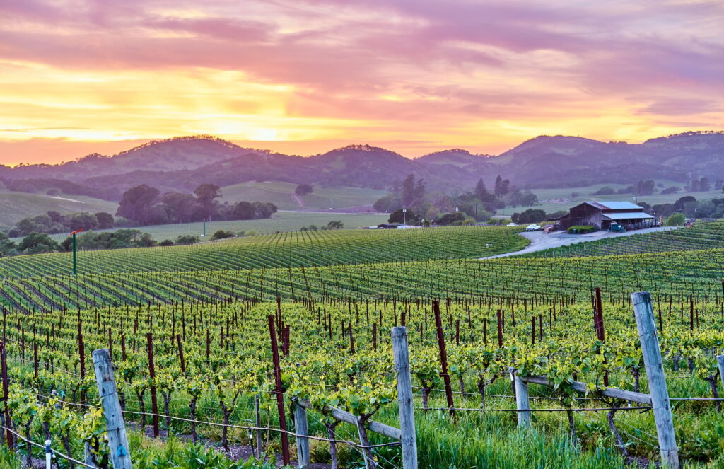 8 Enchanting Honeymoon Destinations to Ignite Your Love 4 Vineyards at sunset in California, USA