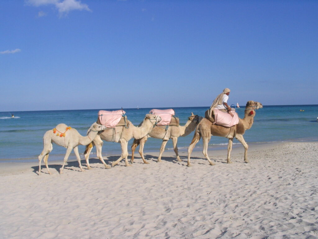 10 Enchanting Islands in Africa You Simply Can't Miss 8