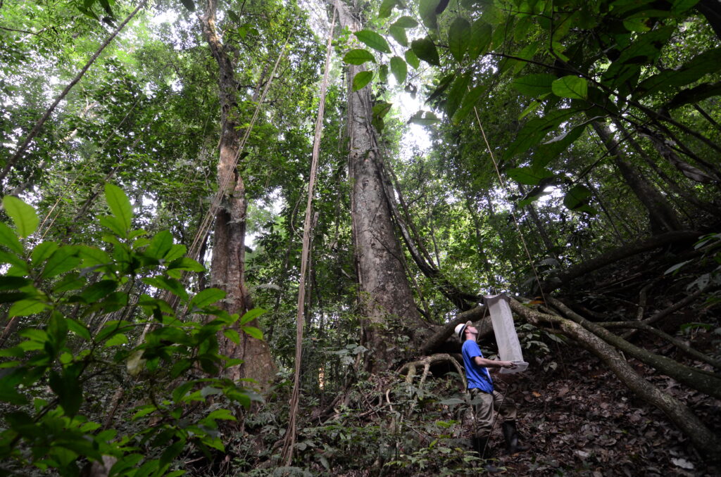 15 Extraordinary Places You Can’t Miss in Panama City 12