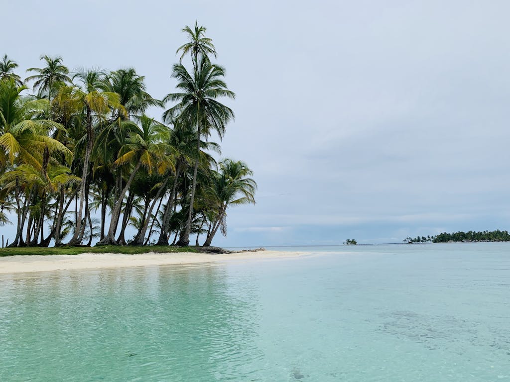 15 Extraordinary Places You Can’t Miss in Panama City 4 A serene beach scene in Guna Yala, Panama, featuring palm trees and crystal clear waters.