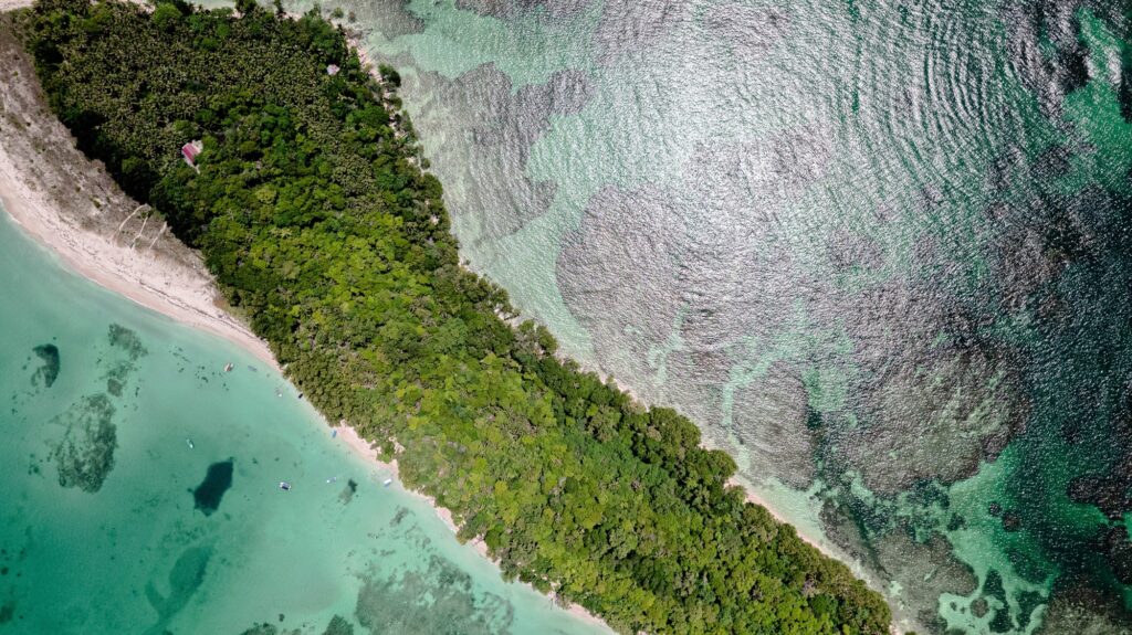 15 Extraordinary Places You Can’t Miss in Panama City 9 Aerial shot of a green island surrounded by tranquil ocean water in Bocas del Toro, Panama.