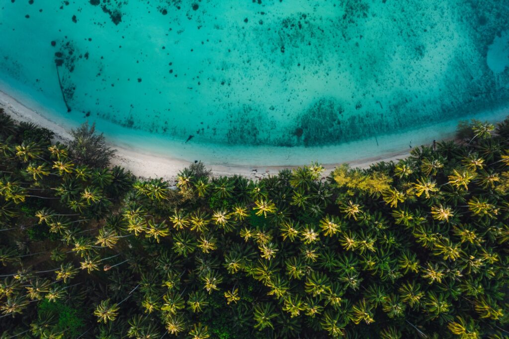 15 Extraordinary Places You Can’t Miss in Panama City 6 Aerial view island and coconut groves on the island in the morning