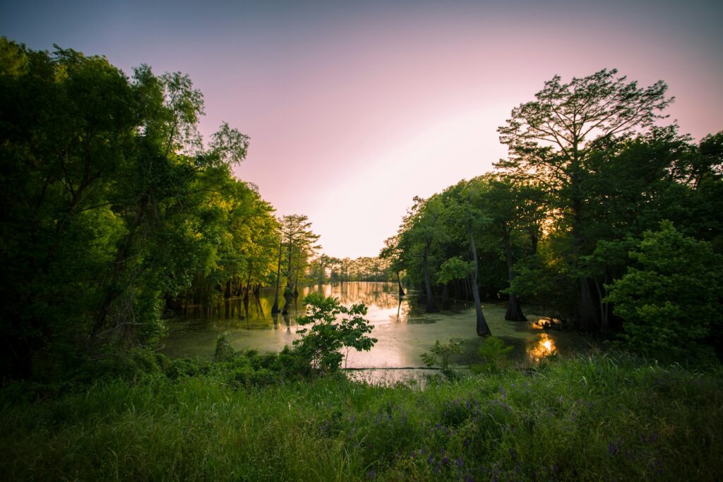 10 Fascinating Flattest States in America to Explore 3 a lake surrounded by lush green trees under a purple sky