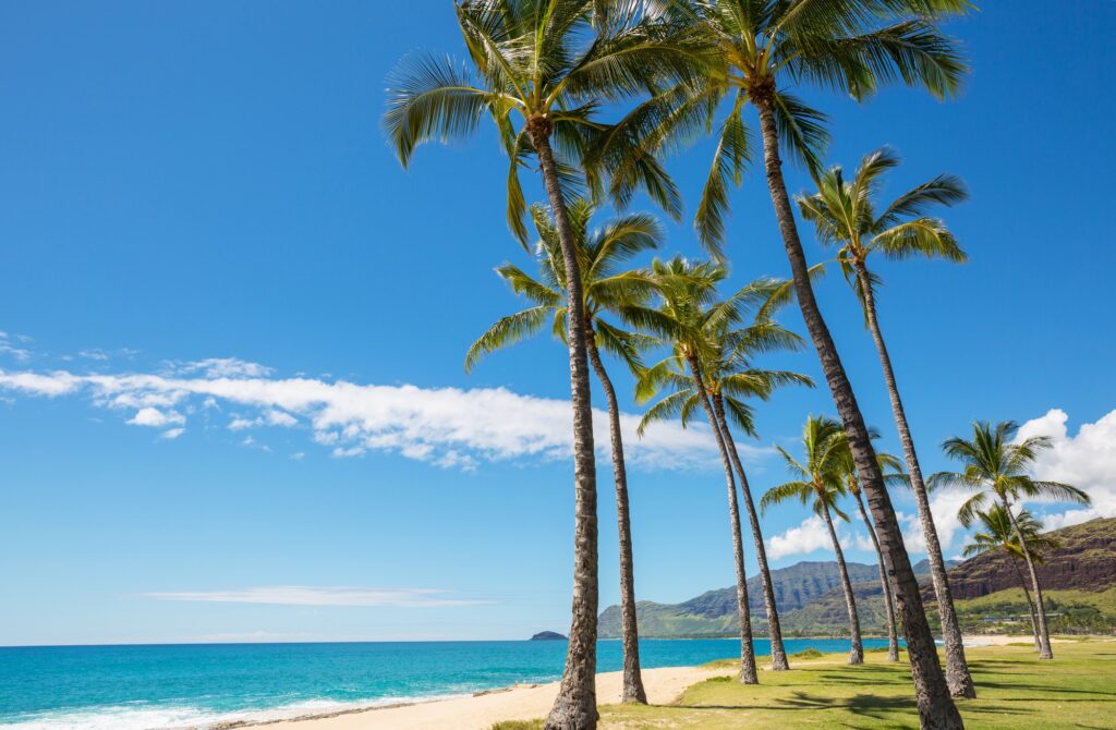 10 States You MUST Visit in the US...at least once 2 Hawaiian beach