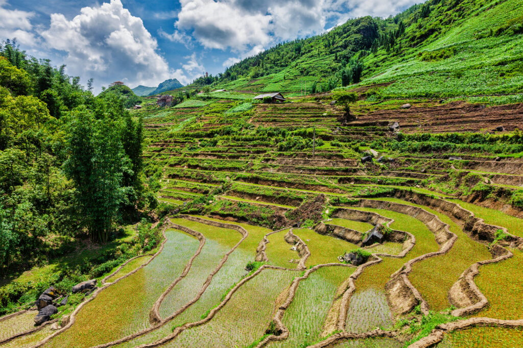 10 Enchanting Tourist Attractions in the Philippines You Can't Miss 4 Rice field terraces. Near Sapa, Vietnam