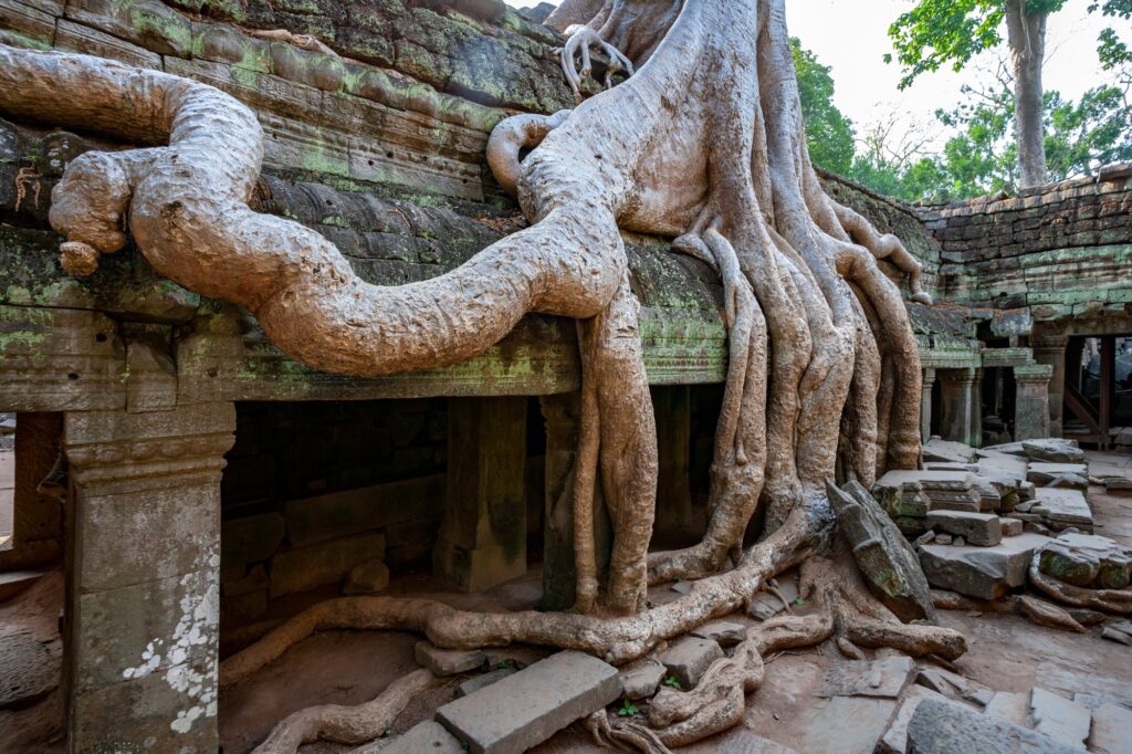 18 Enchanting Destinations in Cambodia You Can’t Miss 13 Ruins of Ta Prohm - Angkor Wat - Cambodia