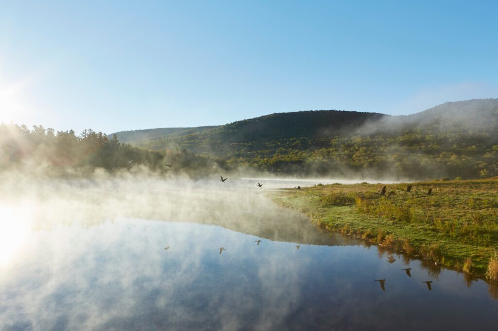 10 States You MUST Visit in the US...at least once 6 Scenic view, Colgate Lake Wild Forest, Catskill Park, New York State, USA