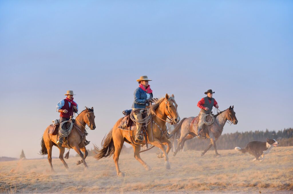 10 States You MUST Visit in the US...at least once 5 USA, Wyoming, three riding cowboys and a dog